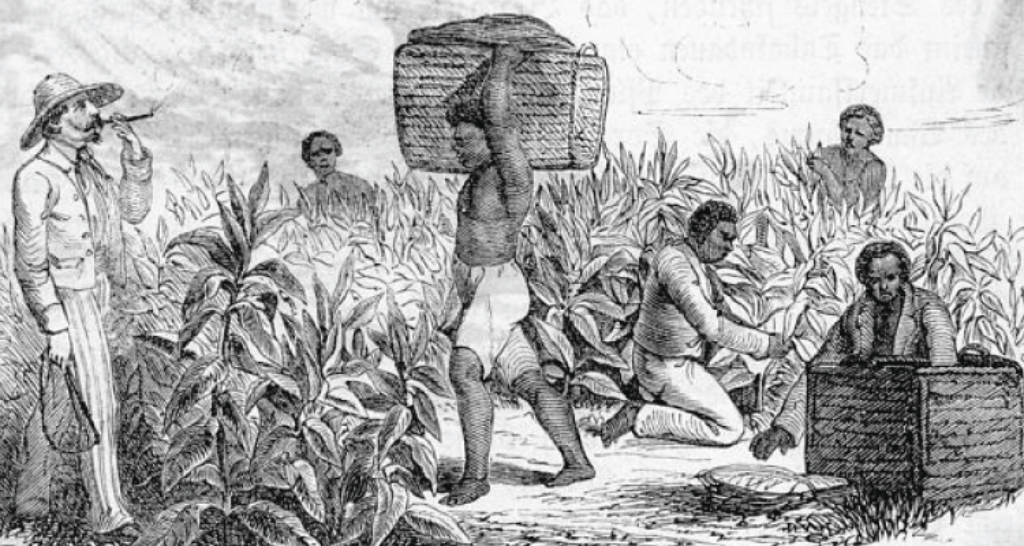 Economic exploitation in colonial India