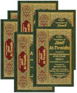 Are all the hadith in Jami at tirmidhi sahih?