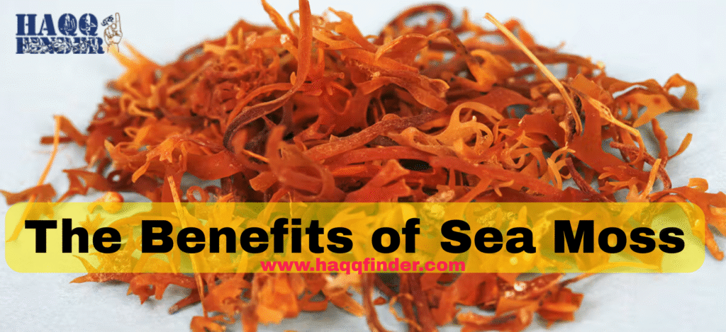Benefits of Sea Moss In Islam