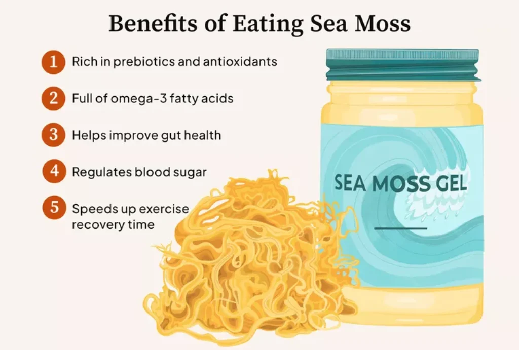 Why should you eat sea moss