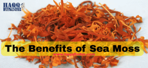 Benefits of Sea Moss In Islam