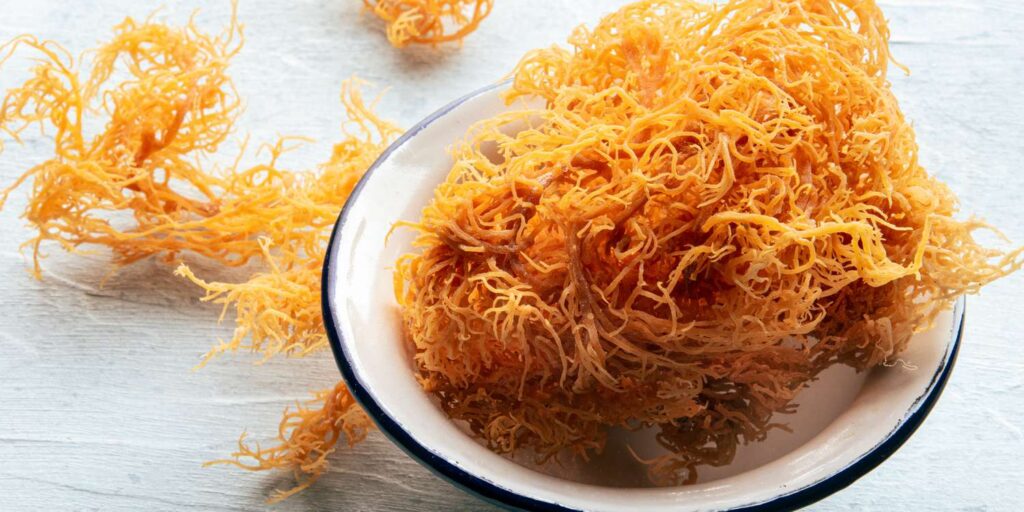Modern Fatwas On Sea Moss