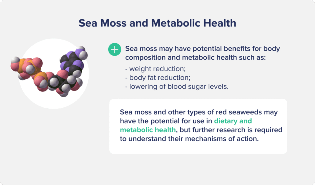 Sea Moss on Metabolic health