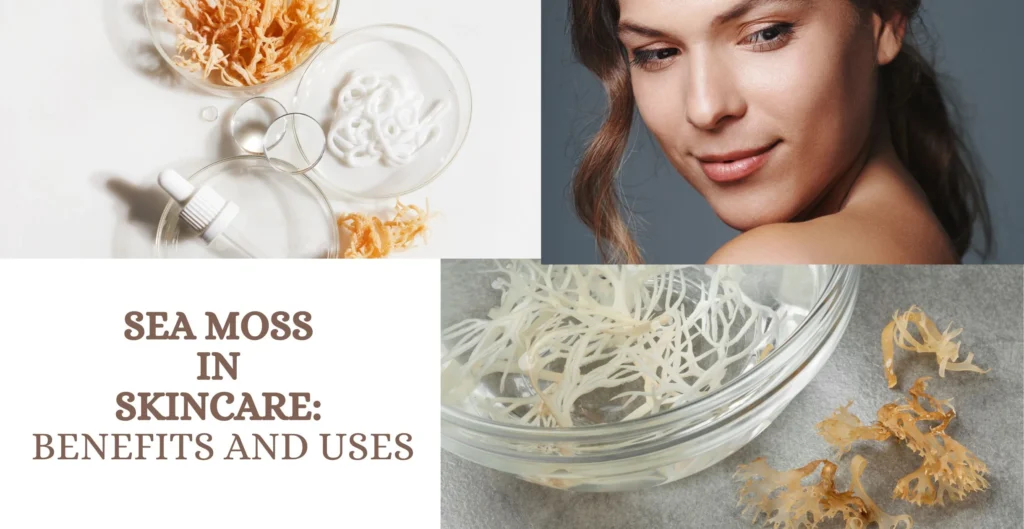  Skin, Hair, and Beauty Benefits of sea moss