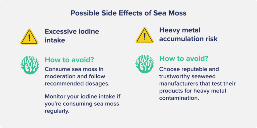 Potential risks of Sea Moss