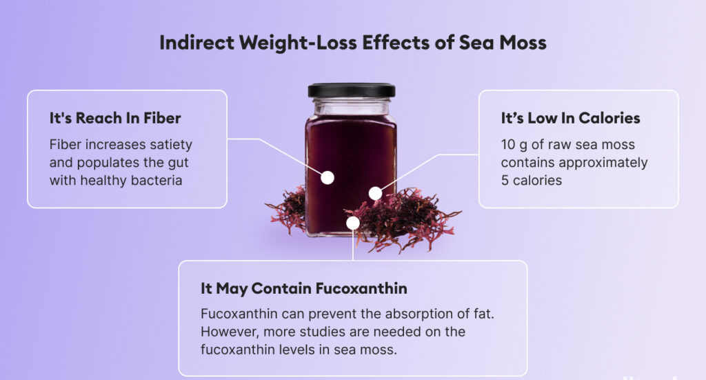 Does Sea Moss Help with Weight Loss?