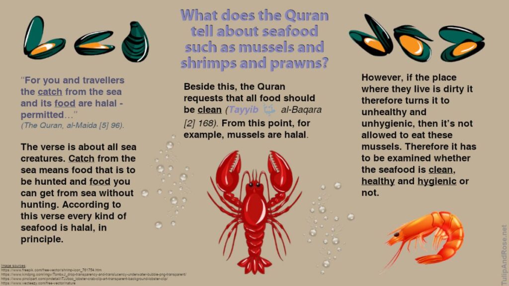Quranic Guidance on Sea-Derived Foods