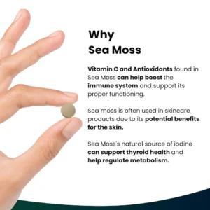 Sea Moss For Immune System Development