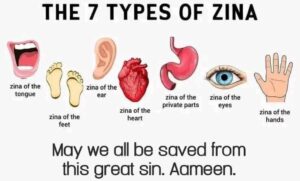 What are the types of Zina In islam?